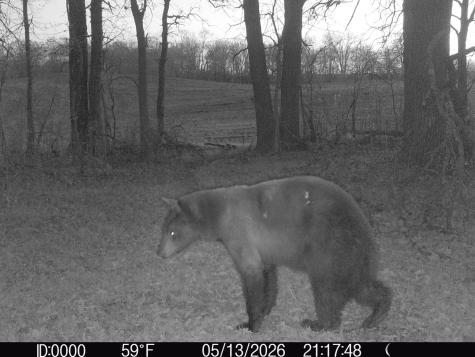 TBD 340TH Street SE Fosston MN 56542