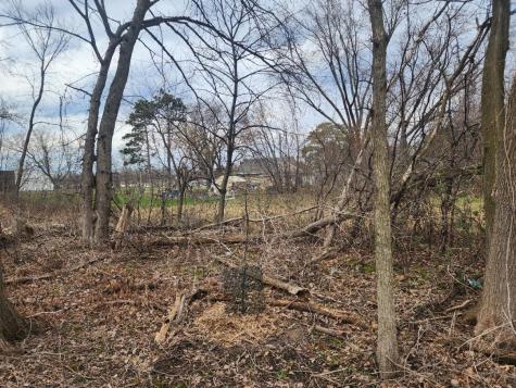 Tbd Eldridge Avenue E Maplewood MN 55109