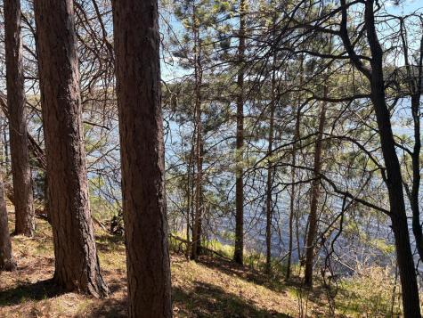 31XXX Nordenstua Lane Pequot Lakes MN 56472