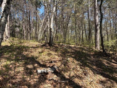 31XXX Nordenstua Lane Pequot Lakes MN 56472