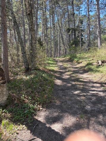 31XXX Nordenstua Lane Pequot Lakes MN 56472