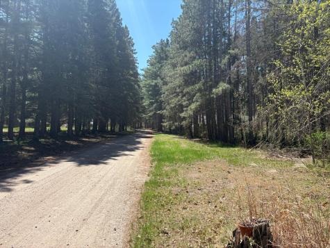 31XXX Nordenstua Lane Pequot Lakes MN 56472