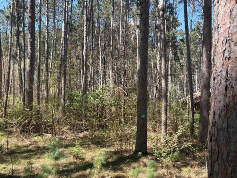 31XXX Nordenstua Lane Pequot Lakes MN 56472
