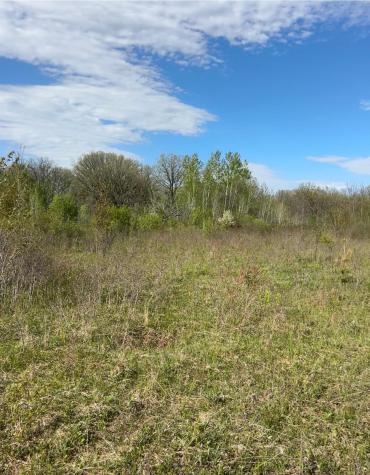 Tbd 100 Avenue Milaca MN 56353