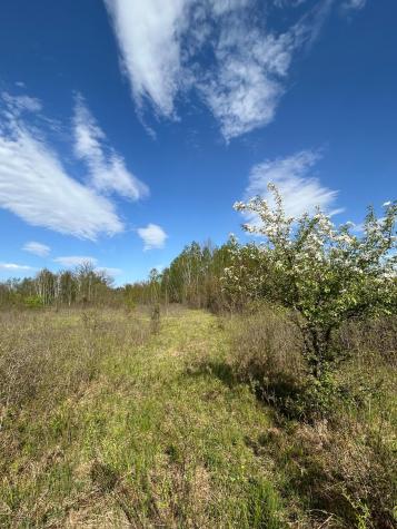 Tbd 100 Avenue Milaca MN 56353