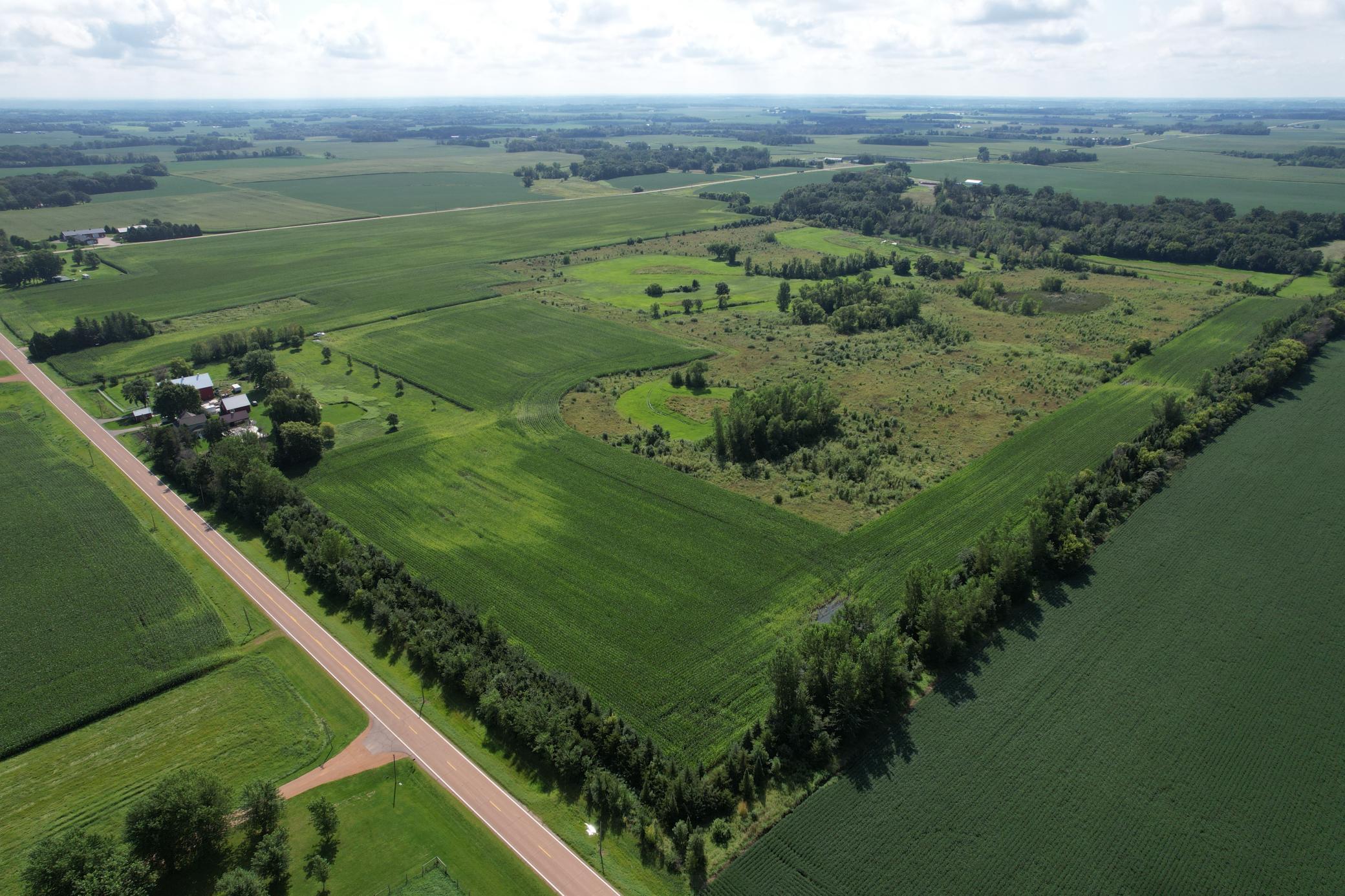 10XXX County Road 50 Cologne MN 55322