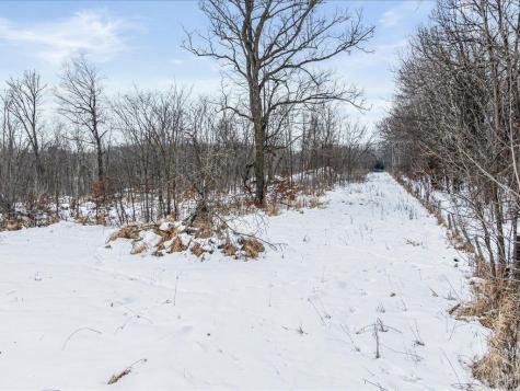 Tbd Highway 27 Swanville MN 56382