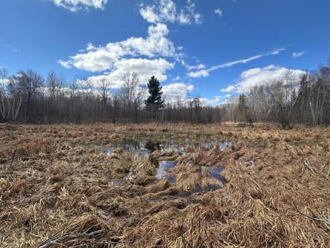 Tbd Bass Lake Road Osage MN 56570