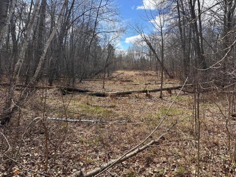 Tbd Bass Lake Road Osage MN 56570