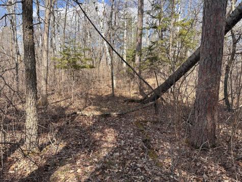 Tbd Bass Lake Road Osage MN 56570
