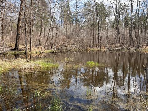 Tbd Bass Lake Road Osage MN 56570