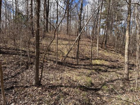 Tbd Bass Lake Road Osage MN 56570