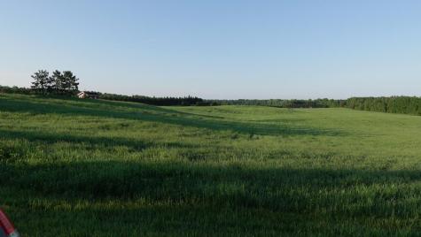 Tbd Bakkum Road NE Bemidji MN 56601
