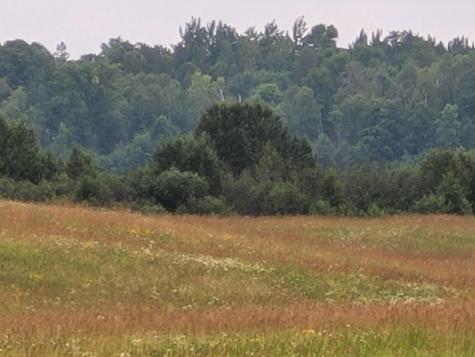 Tbd Bakkum Road NE Bemidji MN 56601