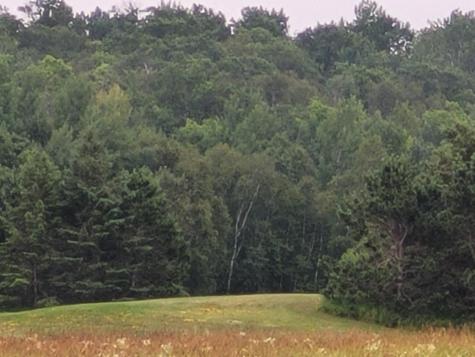 Tbd Bakkum Road NE Bemidji MN 56601