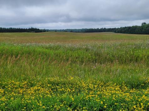 Tbd Bakkum Road NE Bemidji MN 56601