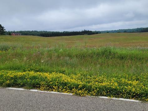 Tbd Bakkum Road NE Bemidji MN 56601