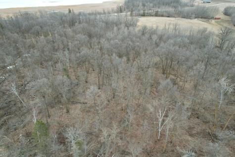 Tbd 460th Street Gonvick MN 56644