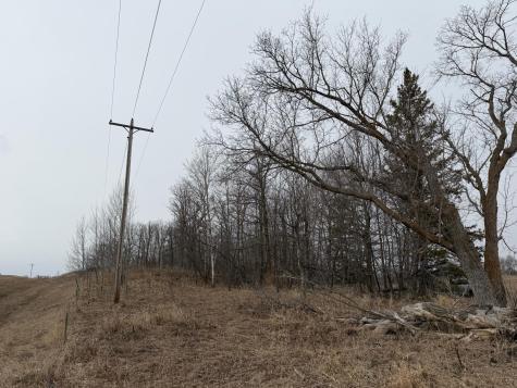 Tbd 460th Street Gonvick MN 56644