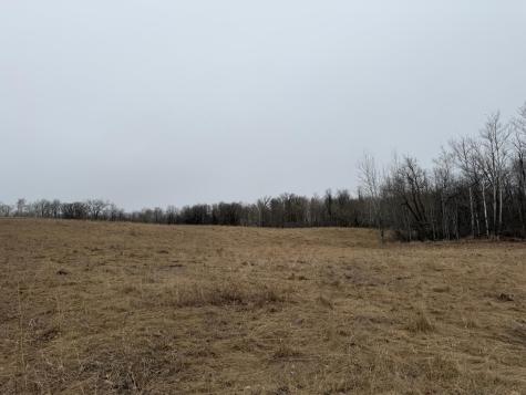 Tbd 460th Street Gonvick MN 56644
