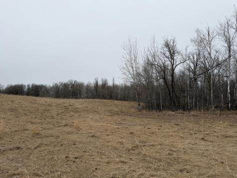 Tbd 460th Street Gonvick MN 56644