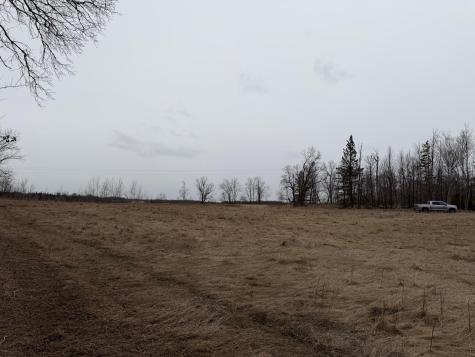 Tbd 460th Street Gonvick MN 56644