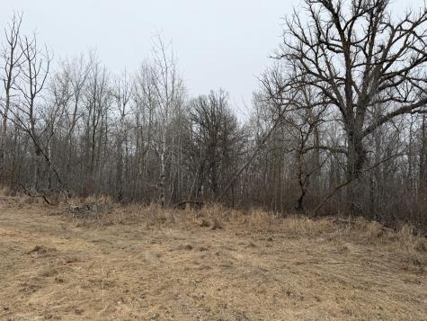 Tbd 460th Street Gonvick MN 56644