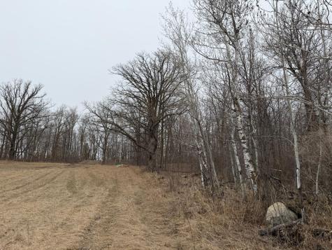 Tbd 460th Street Gonvick MN 56644