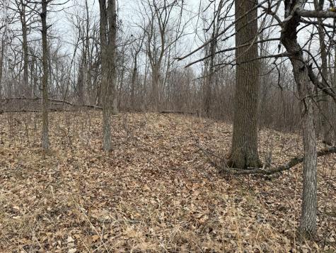 Tbd 460th Street Gonvick MN 56644