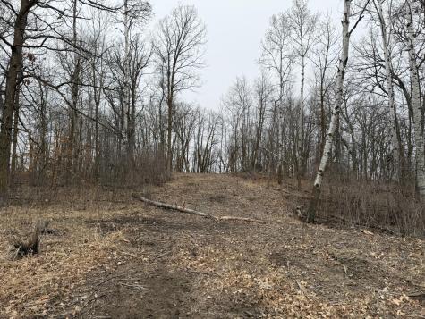 Tbd 460th Street Gonvick MN 56644