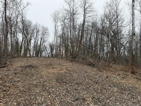 Tbd 460th Street Gonvick MN 56644