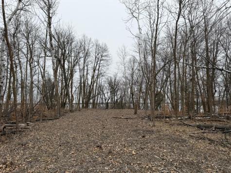 Tbd 460th Street Gonvick MN 56644