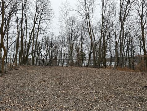 Tbd 460th Street Gonvick MN 56644