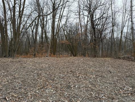 Tbd 460th Street Gonvick MN 56644