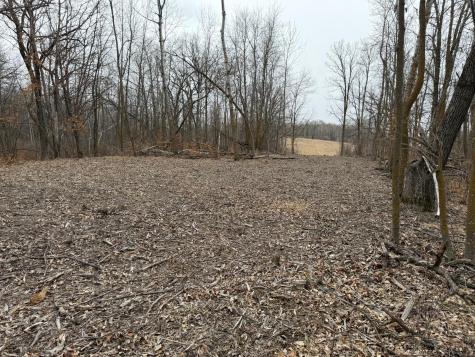 Tbd 460th Street Gonvick MN 56644