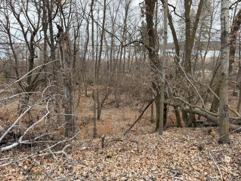 Tbd 460th Street Gonvick MN 56644