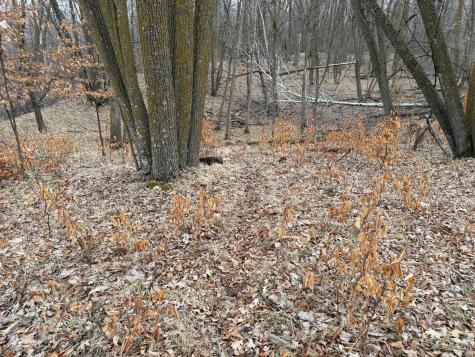 Tbd 460th Street Gonvick MN 56644