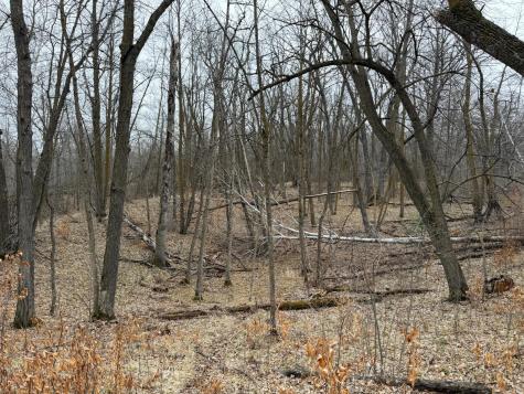 Tbd 460th Street Gonvick MN 56644