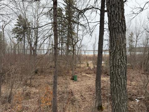 Tbd 460th Street Gonvick MN 56644