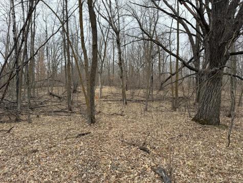 Tbd 460th Street Gonvick MN 56644