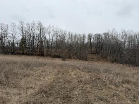 Tbd 460th Street Gonvick MN 56644