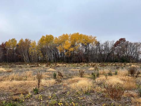 Tbd (Lot 1) Brunswick Road Stanchfield MN 55080