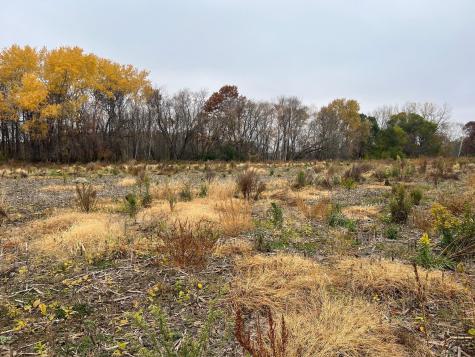 Tbd (Lot 1) Brunswick Road Stanchfield MN 55080