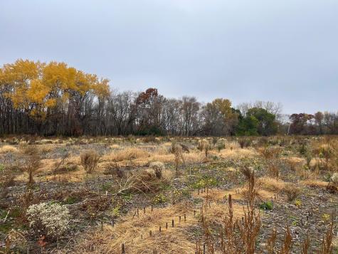 Tbd (Lot 1) Brunswick Road Stanchfield MN 55080