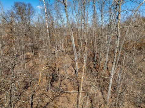 L7B1 Tbd Ski Chalet Drive Breezy Point MN 56472