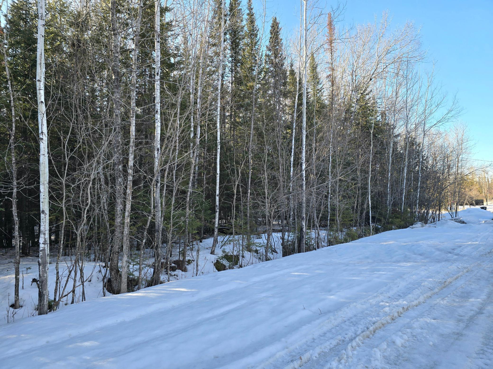 Tbd 4th Avenue 22nd Street W International Falls MN 56649