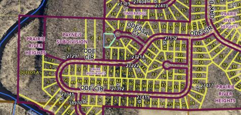 Lot 9 Odessa Court Browerville MN 56438