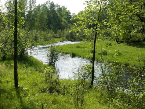 10005 Rice Road Brook Park MN 55007