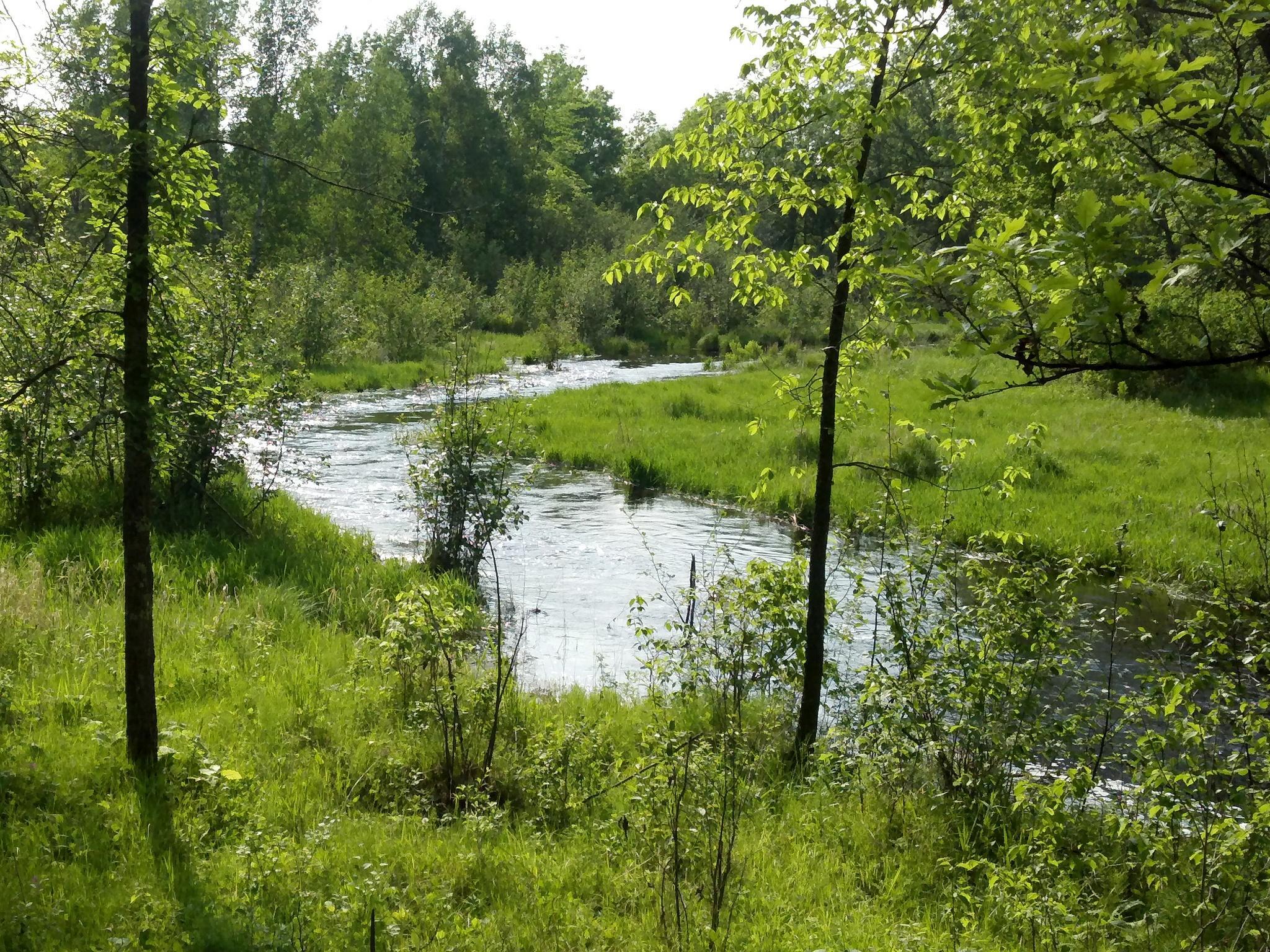 10005 Rice Road Brook Park MN 55007