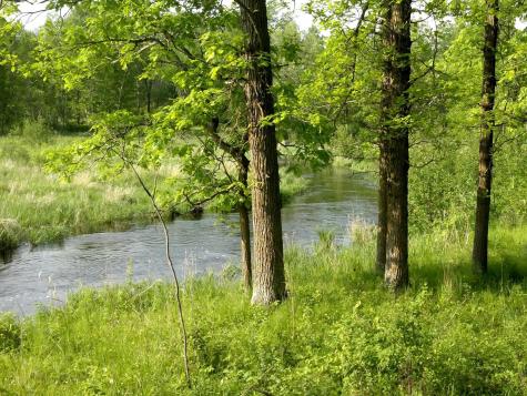 10005 Rice Road Brook Park MN 55007